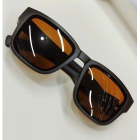 Чоловічі Polarized SL001 brown